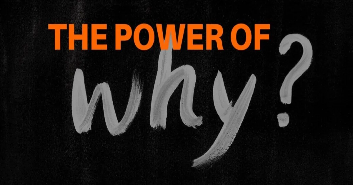 Uncover the power of Why for business success. Find your purpose, inspire your team, and thrive in a competitive market.