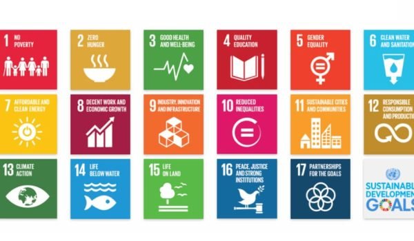 Aligning business with Sustainable Development Goals Align your business with Sustainable Development Goals (SDGs) for success. Learn strategies, set goals, collaborate, and make a positive impact.